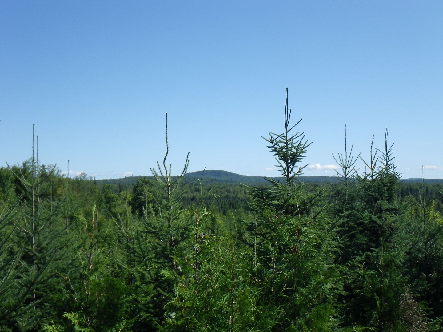 Jackman Maine Trail System Polaris ATV Forum